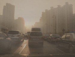 空气污染催生新能源车市场、用户对新车排放标准关注高