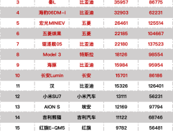 2024年8月新能源汽车零售销量榜